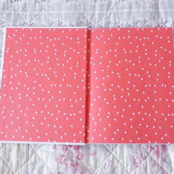 Pumpkin The Raccoon Book - Picture 5 of 9